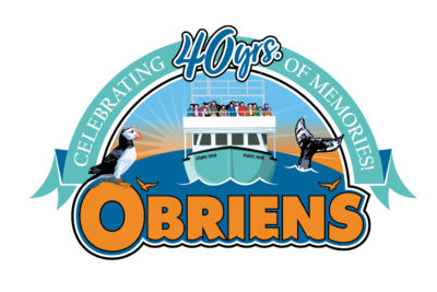 O'Briens Whale and Bird Tours Logo